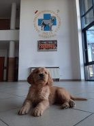 87e3e6b8f21190a8009be4d7d7101794_138x184_fill