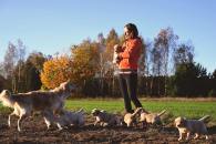 87f51c7083de743a7e8aaa9f79f056ac_195