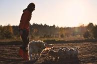 88002d62bf75c274412aad1738401664_195