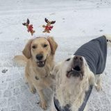 883c3b68c4809026e85efe440f562d8a_160x160_fill