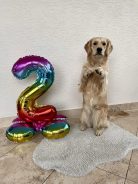 88450ba3fd7028a9d36b0cd07e2fe42c_138x184_fill