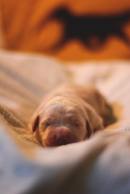 88815bf06ad03d5b4c2373220ce20179_130x194