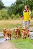 88a8569053d34bd1c8136e698662082f_130x195