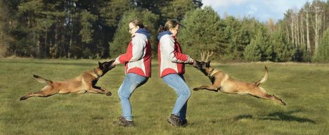 8928b170236fab55658eafb083b4a71b_468