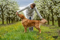 896273422a3c2166a8d958074ca10e57_194