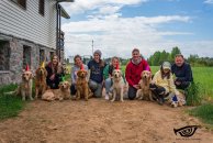 89b7ef6a275849a5ce74bff1cd742797_194