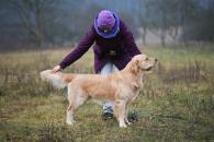 8ae9ce1265895bc9b4741df9e1d4f1a5_195