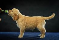 8b2561233164d0df72a92fa9f1d472e1_194