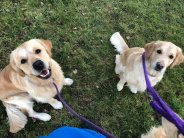 8bef4b8efac5e61a88eb73982f233d60_184x138_fill