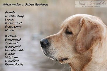 8c94bf3001f186292d5ca03386f9b84b_366