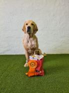 8cca51e8b0e6c2fab26f682a02064382_138x186