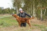 8cfe4a2d0897006d600e5c172739e4b8_195