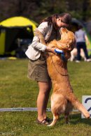 8e4ab9d078f6afc6025a3c9aafa5bcd9_130x195