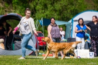 8ede071b26dec62f088f7d43365eebc5_195