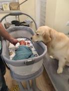 8ef20c810d5b83be0ae36976dc871c0a_138x183