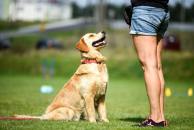 8f678486800d069f1755a5a7f2e34089_194