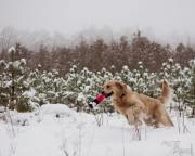 901309aed903e823d182f7bdf21f59d9_180