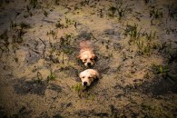 905cf3158999810b26cf2d861a5dce61_195