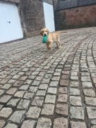 907d00b54e723233c19c535cac7dd9bb_138x184_fill