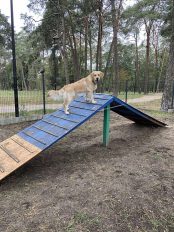 91b3e93228a72f6ac3218e9a337fa9e9_174x232_fill