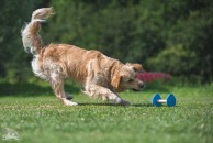 91da5a142b6a5bcc01594d698b668257_194