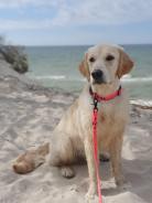 926c60ceed060e19855b406d70511b68_138x184_fill