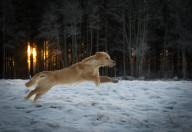 92ddb6647f9a6bf2a89bb6898dbccd19_192