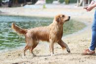 93771eca607a7807259297e04f6500a1_195x130_fill