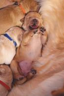 93873952a077ead3904df6436842535b_130x195