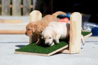 93dfc32fd46bf58432305f8365f0097d_195x130_fill