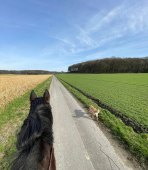 93ef61effbcf10311fe681d40f8a984c_148x170