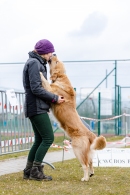 93f043dfc142adce3159510d5306987b_130x195