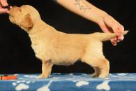 93f808f0f6c4433c6951c57f7c56ede7_195x130_fill