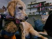 94311e6275921f1621184e1e858f8903_184x138_fill