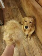 94622cf7f3505f929fc7ecfe5eae69af_138x184_fill