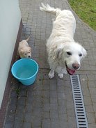 94a58956b1f52c6c68dd52368a70aa92_138x184