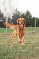 94fe3714a001508c6b43f14d2eb5a471_130x195_fill