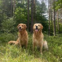 959ee1cafa7b4046b5b87530e2057f8f_200x200_fill