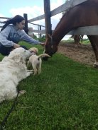 967e1cab66560b7d78a3a3e42026c44c_138x184