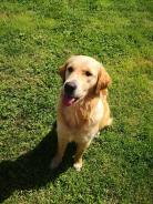 968a4d820cba76239beee82110ecdc64_138x184_fill