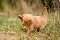 96b9c36089b70b2c7fc36926bfb5468a_195x130_fill