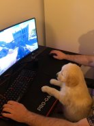 973ad1f639054937f21816ce6c720e67_138x184_fill