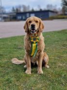 97768a3992d8ffdca99dc268d89708b7_138x184_fill