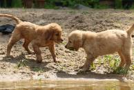 977fc9077967814c26f743bad3fdfcfc_194