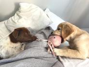 97962ab65e3c5d60ab0dd2d34b2d8311_184x138_fill