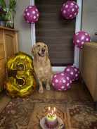 9840bc58eeea2ea61240408b4864cedd_138x183