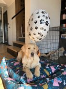 984487488dd6956714f4019bba7fb879_138x184_fill