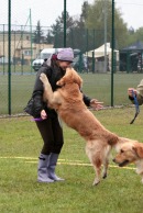 9869d747828f239de22d3dbf0edb961f_130x194