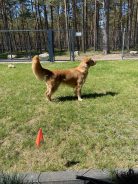 988ef0ed9346d793e697c43d08605077_138x184_fill