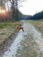 98a2f7315b1536562f664630d094cb7e_138x184_fill